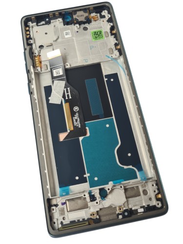 fusion 50 forest blue.jpg