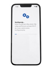iPhone 13 Pro Max, Soft OLED Plug&Play 120Hz
